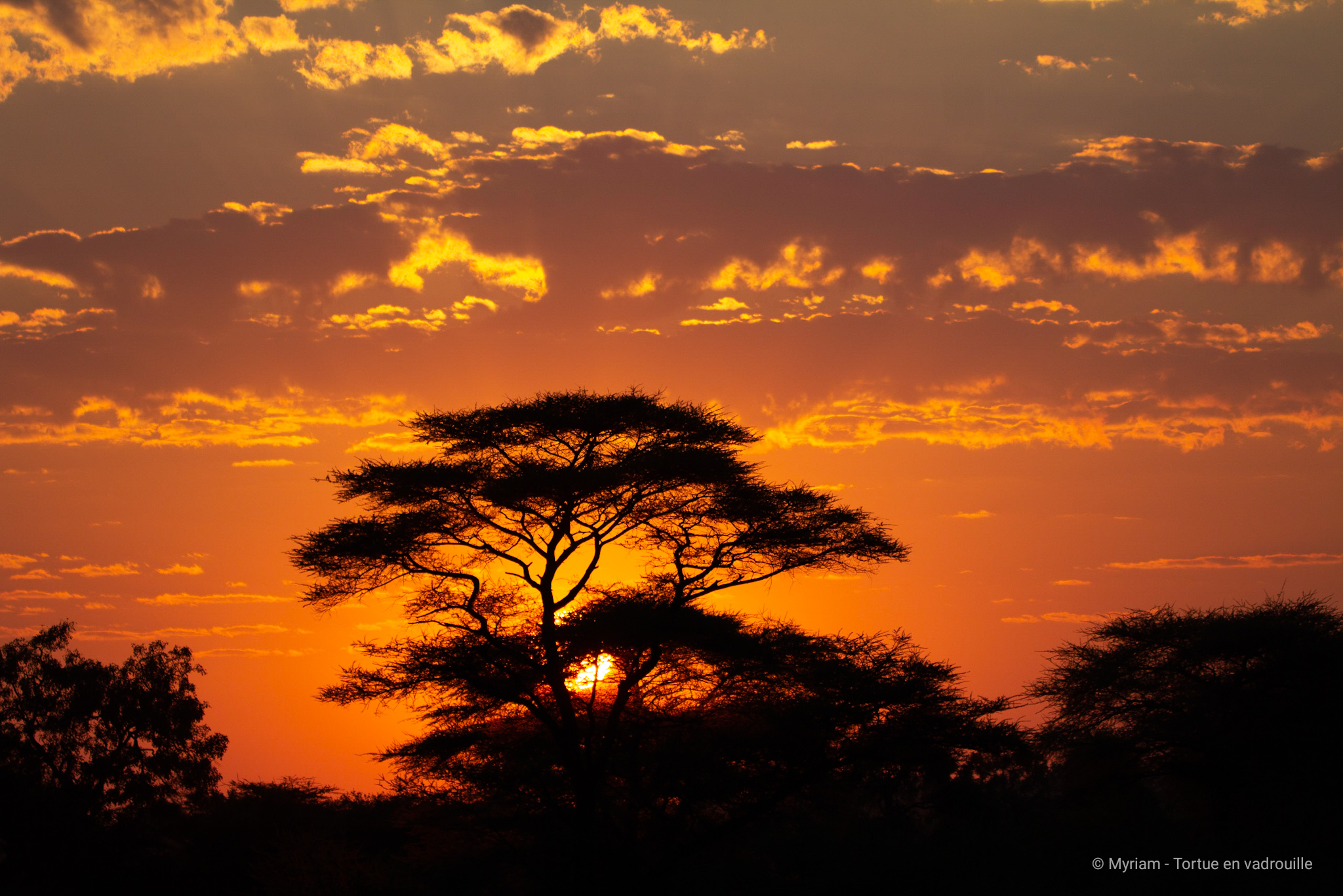 matin afrique australe 