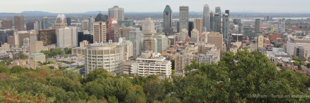 montreal view