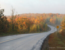 route en automne ontario