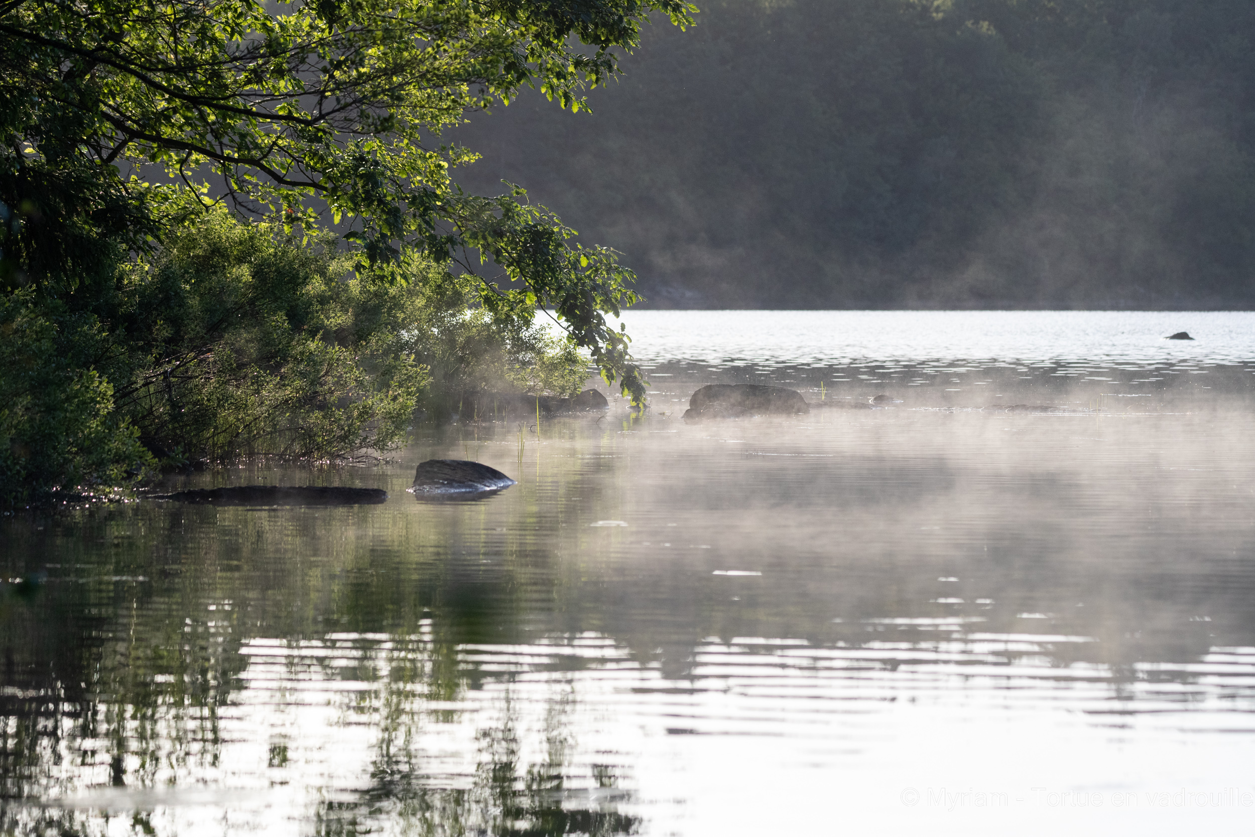 Canoe-trip-brumes