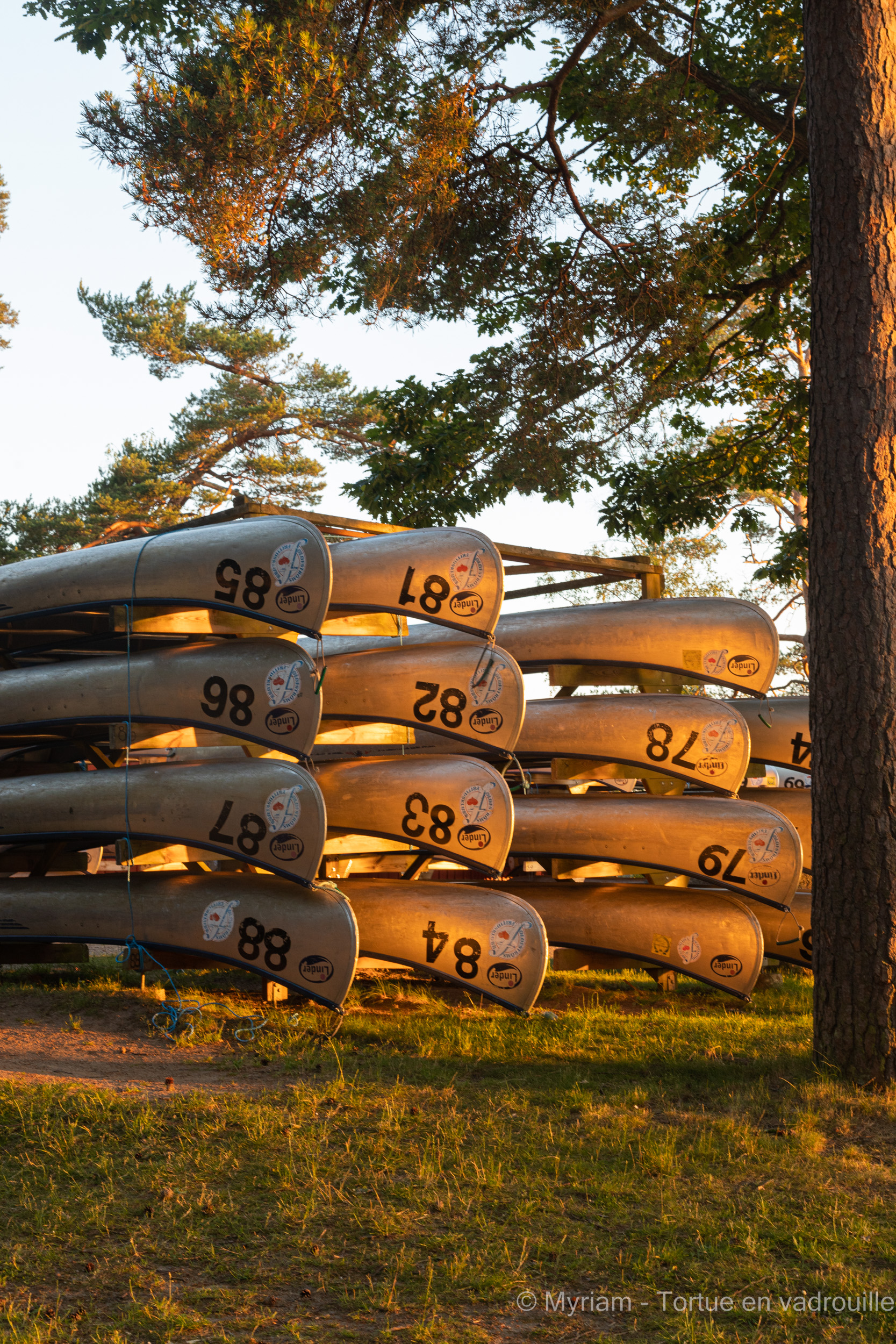 canoes-golden-hour