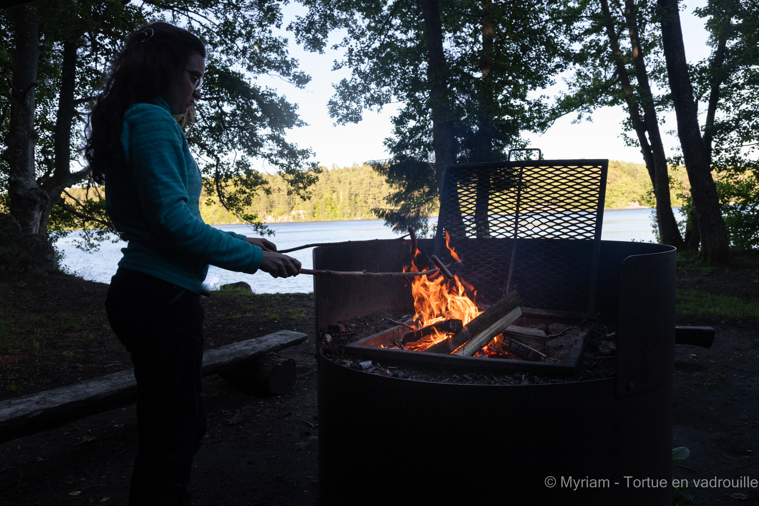 grillades-feu-de-camp