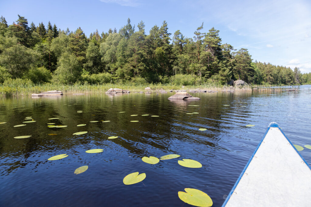 canoe-sur-leau